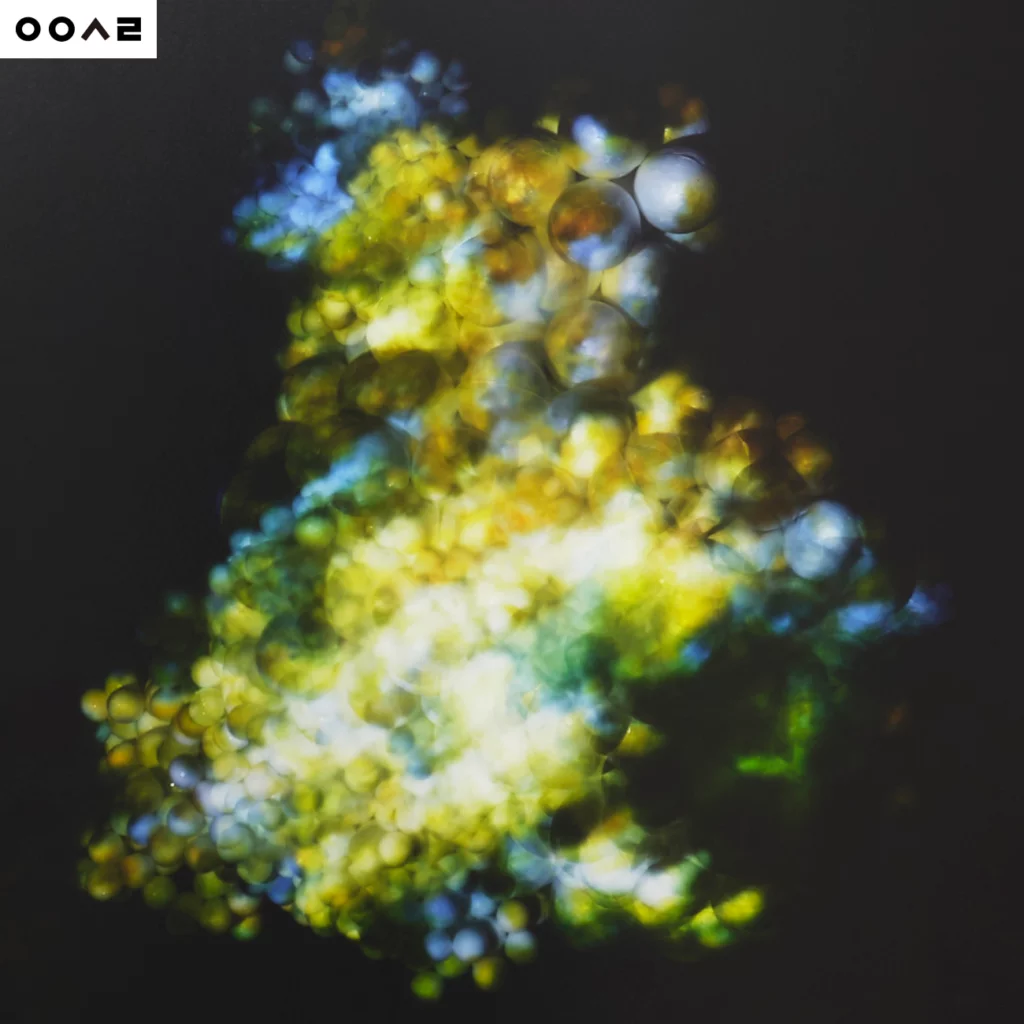 토탈미술관 월요살롱