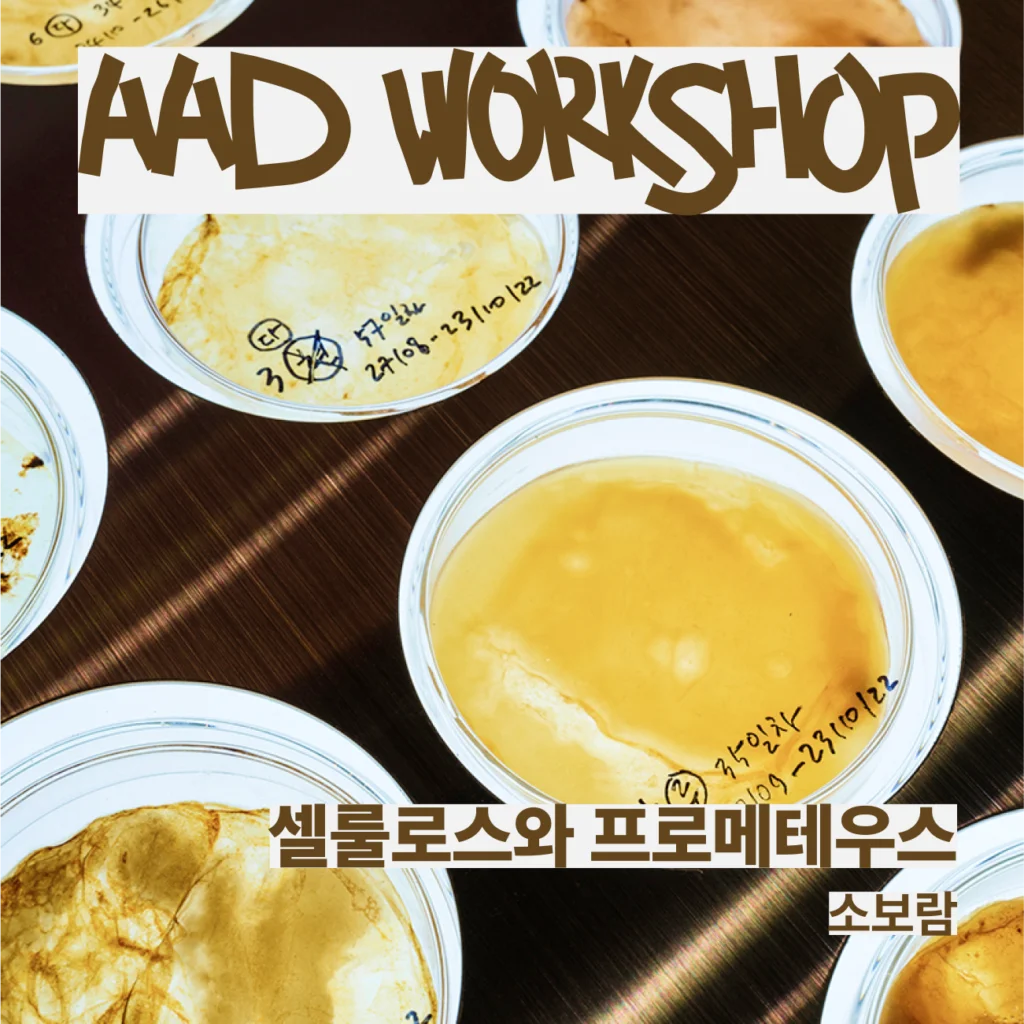 셀룰로스와 프로메테우스